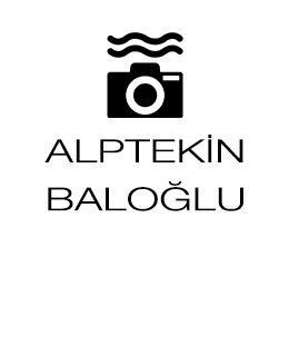 Alptekin Baloğlu