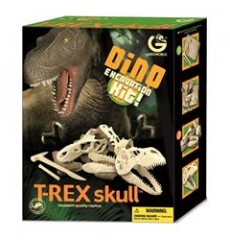 Kazi Seti T-Rex Kafatası Dino Kemikli